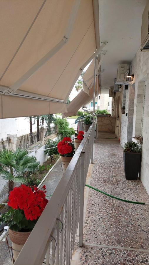 Oasis Apartment