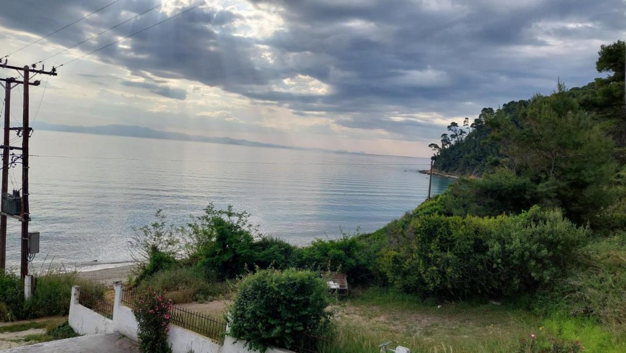 Oasis * Kallithea (Chalkidiki)