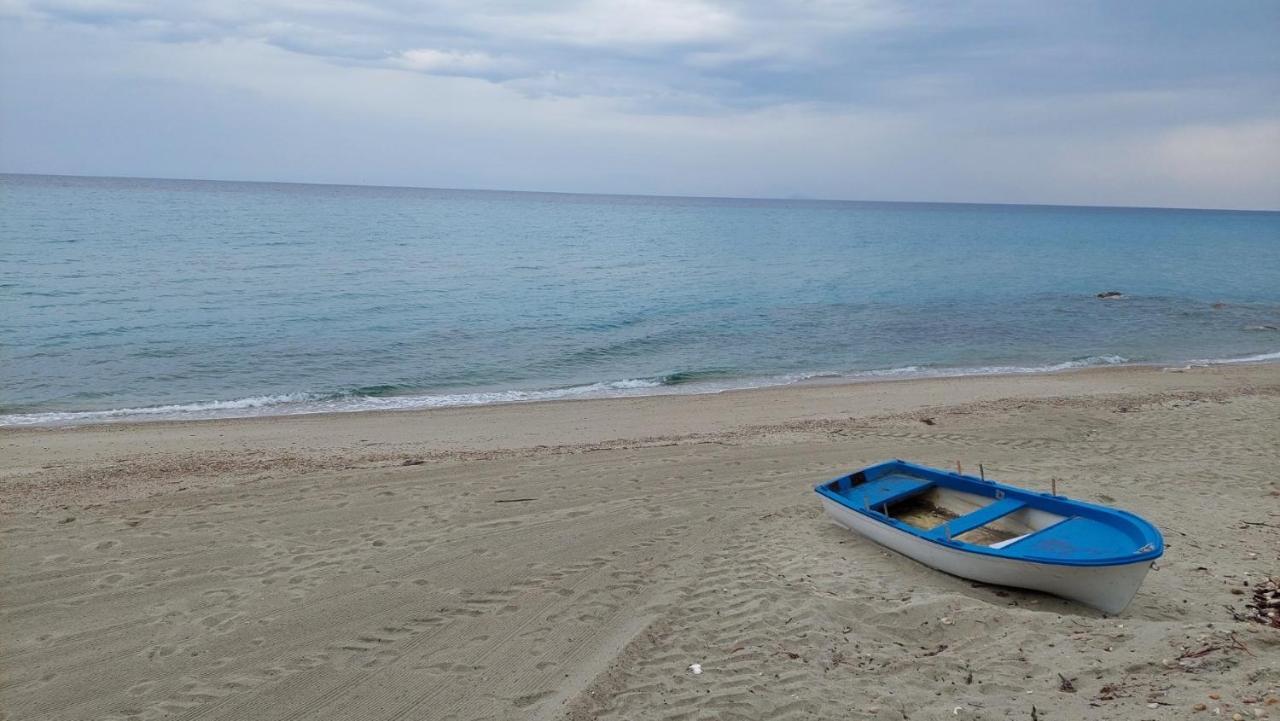 Oasis Kallithea (Chalkidiki)