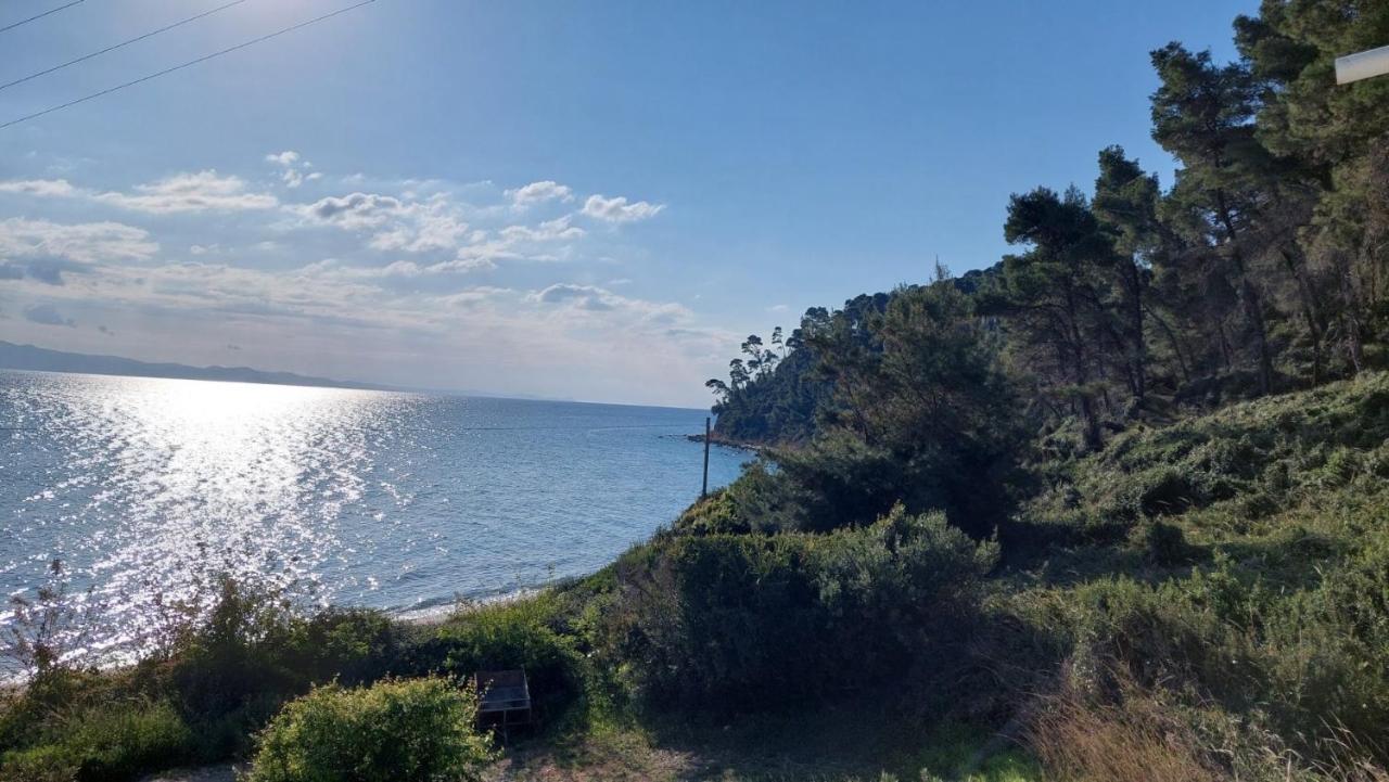Apartment Oasis Kallithea (Chalkidiki)